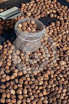 Walnut bucket is worth  layer of nuts