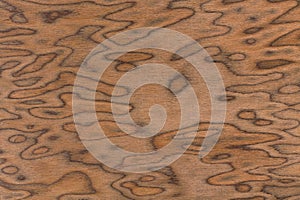 Walnut burl wood grain texture background.