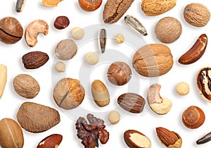 Walnut, cashew, almond and hazelnut isolated on white background.