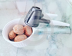 Walnut chandlerwalnut walnutinshell nature nuts