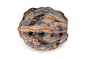 Walnut Close Up