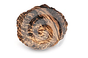 Walnut Close Up