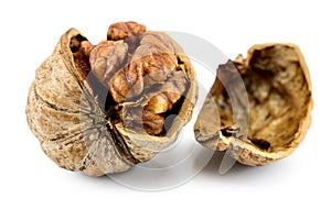 Walnut close-up macro