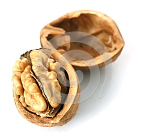 Walnut in closeup photo