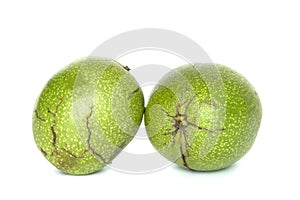 Walnut in cracked pericarp isolated on white background. Two walnuts in green pericarp