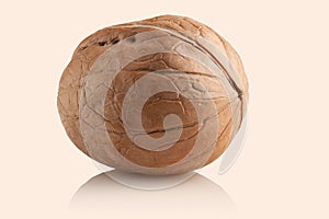 Walnut with cracked shell