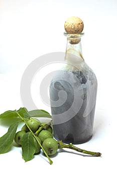 Walnut fruits still green and bottle with walnut- photo