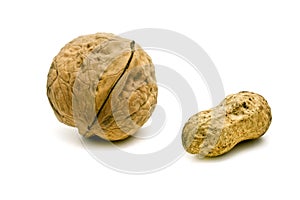 Walnut and groundnut