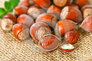 Walnut hazelnuts scattered on sackcloth on a white wooden table.