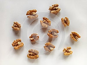Walnut a Healthy and Nutritious Dry Fruit