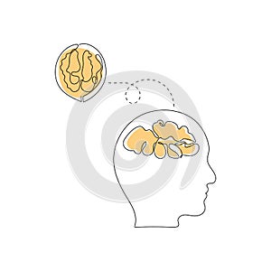 Walnut - healthy food for strong brain. Vector illustration