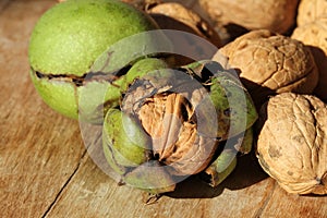 Walnut husk