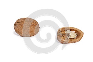 Walnut isolated