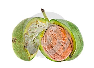 Walnut isolated on white