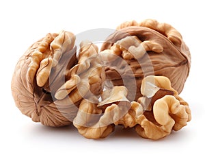 walnut isolated white background