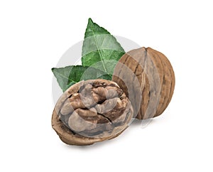 Walnut isolated on white background