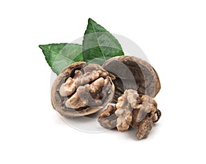 Walnut isolated on white background