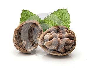 Walnut isolated on white background