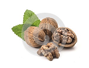 Walnut isolated on white background