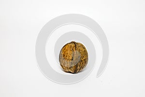 Walnut in its shell on a white background close-up