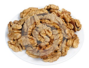 Walnut (Juglans regia)