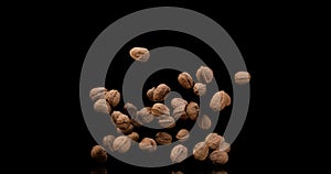 Walnut, juglans regia, Fruits falling against Black Background, Slow Motion