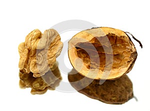 Walnut