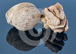 Walnut kernel on a dark background. With reflection in the foreground.