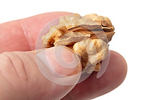 Walnut kernel in hand isolated white background. Macro