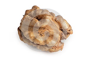 Walnut. Walnut kernel. Nut isolated on white