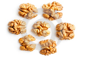 Walnut. Walnut kernel. Nut isolated on white. With clipping path.