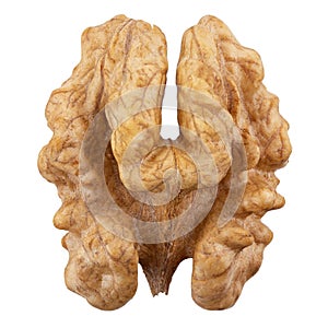 Walnut kernel. Nut isolated on white