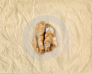 Concept of senile dementia - alzheimer - brain-shaped walnut kernel photo