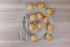 Walnut and walnut kernel. Top view of walnuts in nutshells in full screen