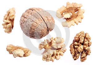 Walnut kernels and walnut.