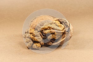 Walnut kernels and whole walnuts on kraft paperf, close up, horizontal