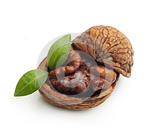 Walnut with leaf isolated