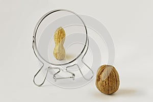 Walnut looking in the mirror and seeing itself as a peanut - Concept of dysmorphobia and distorted self-image