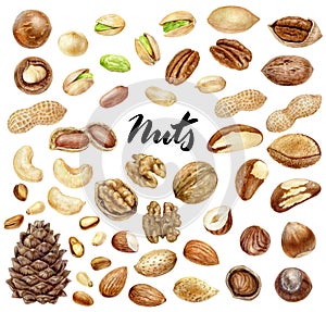 Nuts big set composition watercolor isolated on white background