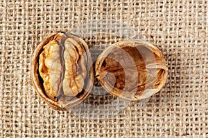 Walnut macro shot. Texture shell. Rural style