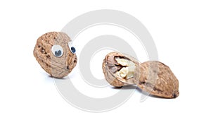 Walnut mit googly eyes photo