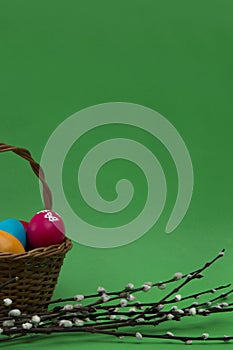 Walnut muffin on a white background
