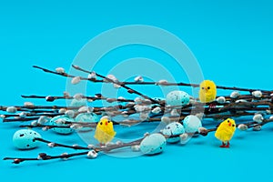 Walnut muffin on a white background