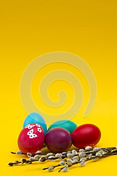 Walnut muffin on a white background