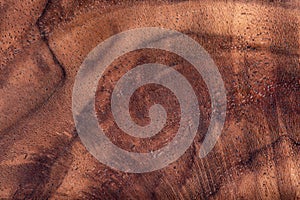 Walnut natural wood texture