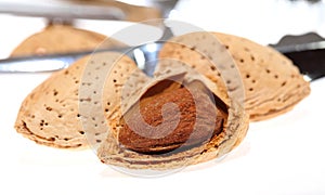 Walnut in nut cracker isolated on white background.