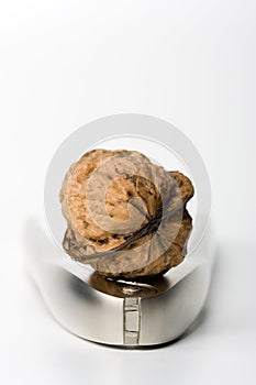 Walnut and Nutcracker