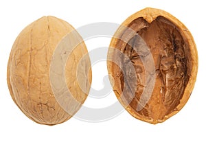 Walnut nutshell on white