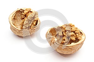 Walnut in nutshells on white background
