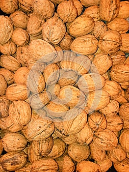 Walnut in pile during harvest season as food background for sale in market